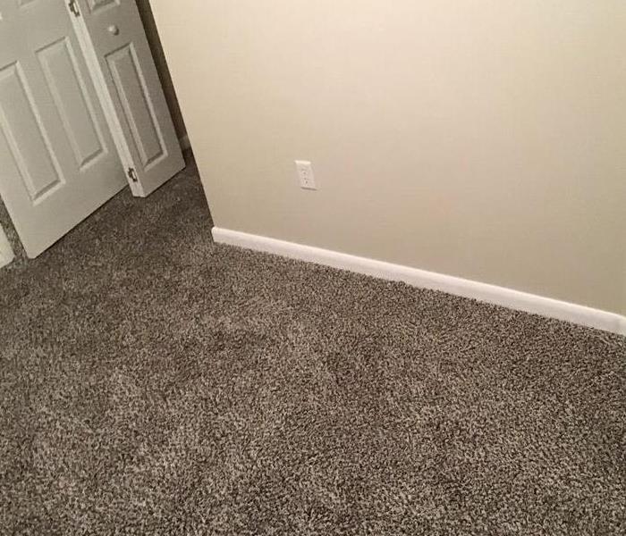 wet saturated carpet
