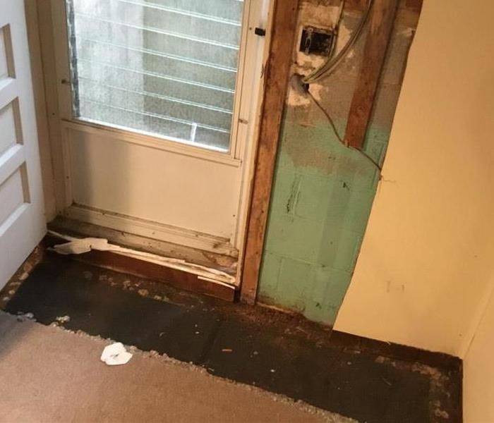 doorway with mold