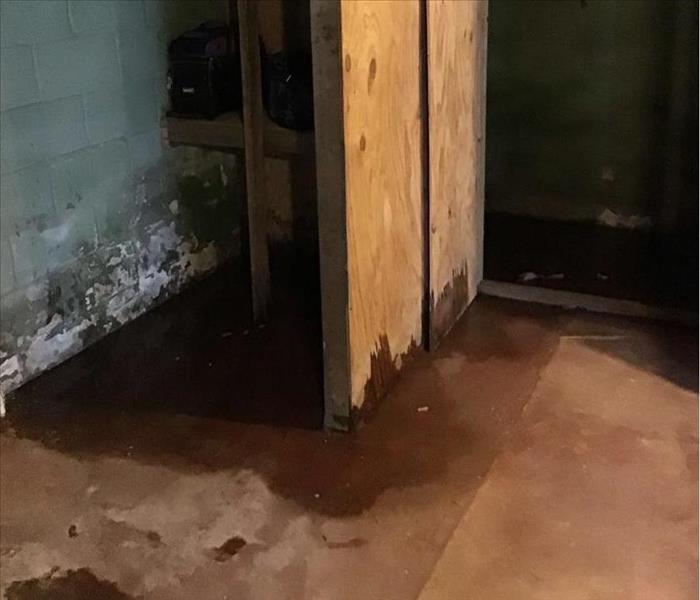 unfinished basement with water damage
